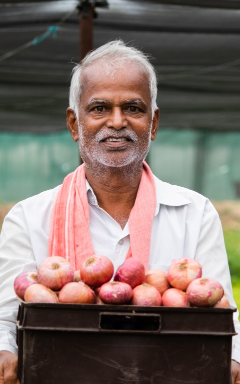 Syngenta | Man smiling and holding box full of apples