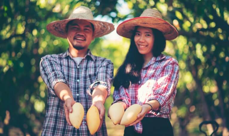 Syngenta | Two happy looking farmers wearing straw hats holding out loaves of bread in the sunshine