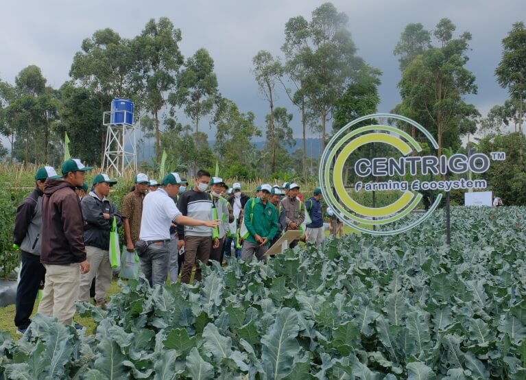 Syngenta | People in front of a field, centrigo logo overlay
