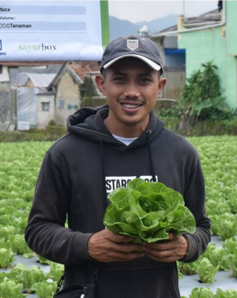 Syngenta | Farmer holding lettuce in front his field